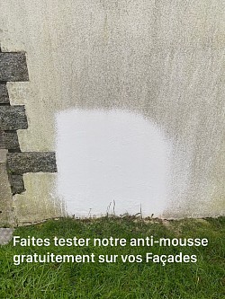 Test anti-mousse gratuit